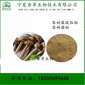 茶樹菇提取物 供應茶樹菇濃縮液 楊樹菇多糖 茶樹菇超細粉