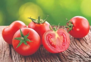 番茄粉 鲜果加工 水溶 现货供应