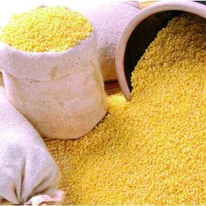 供应优质膨化玉米粉价格