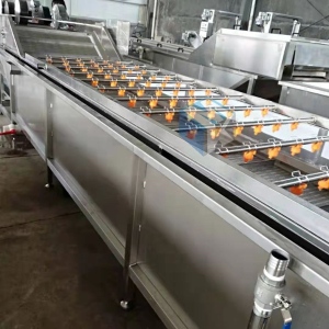 全自动紫苏叶专用清洗机 山野菜苏叶深加工清洗设备