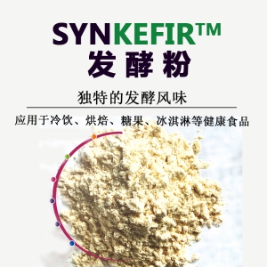 SYNKEFIR 酸奶粉|發酵乳粉