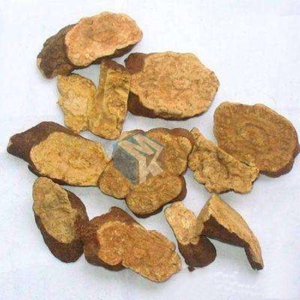 大型全自动何首乌蒸汽蒸制机 中药材深加工高压无水蒸煮设备