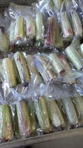 大型全自动即食玉米带皮真空包装加工设备 速冻玉米蒸煮生产线