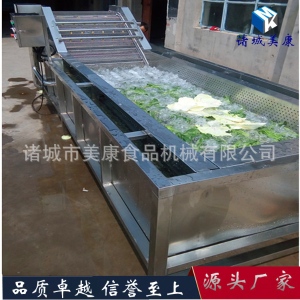 美康大型包菜深加工清洗切丝漂烫一整套设备