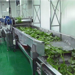 大型食品厂专用空心菜清洗漂烫流水线 藤菜净菜加工生产线设备