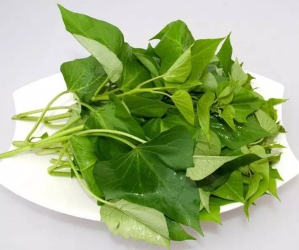 小型红薯叶专用清洗机 地瓜叶深加工清洗漂烫杀菌一体机流水线