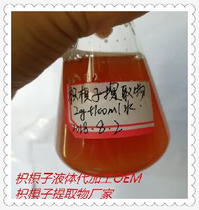 枳椇子液体饮料厂家代加工  枳椇子粉生产厂家