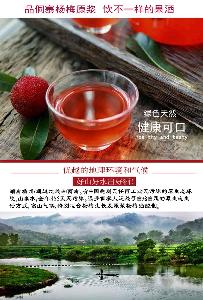 湖南靖州正宗杨梅酒果酒农家自酿传统工艺酿造养生6升11度