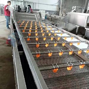 专业生产白萝卜高压清洗机 萝卜干深加工清洗流水线厂家制造