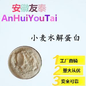 現貨批發 小麥水解蛋白 食品級 食品添加劑 高含量