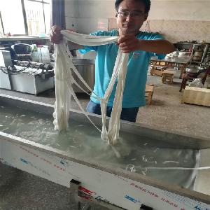 沧州土豆粉机生产线 打芡粉条机技术指导