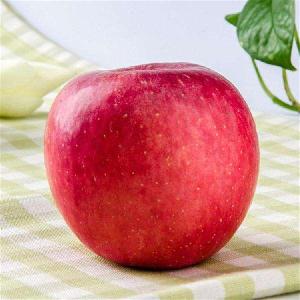 红富士的品种 栖霞冷库红富士苹果价格表
